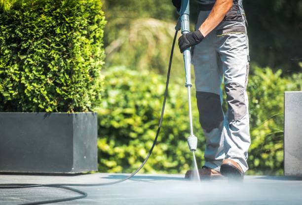 Best Fence Cleaning  in Farmington, IL