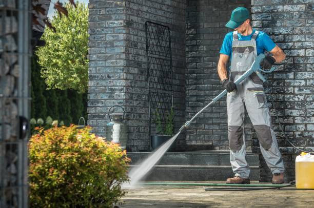 Best Gutter Cleaning  in Farmington, IL